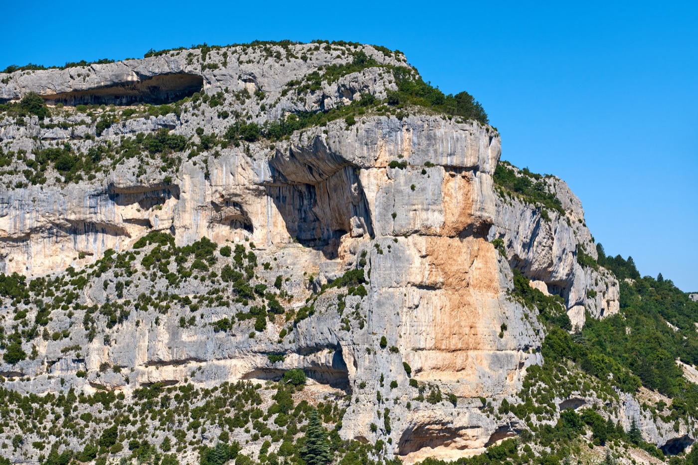 Ciclista atravesando los paisajes típicos de las Alpilles en bicicleta eléctrica