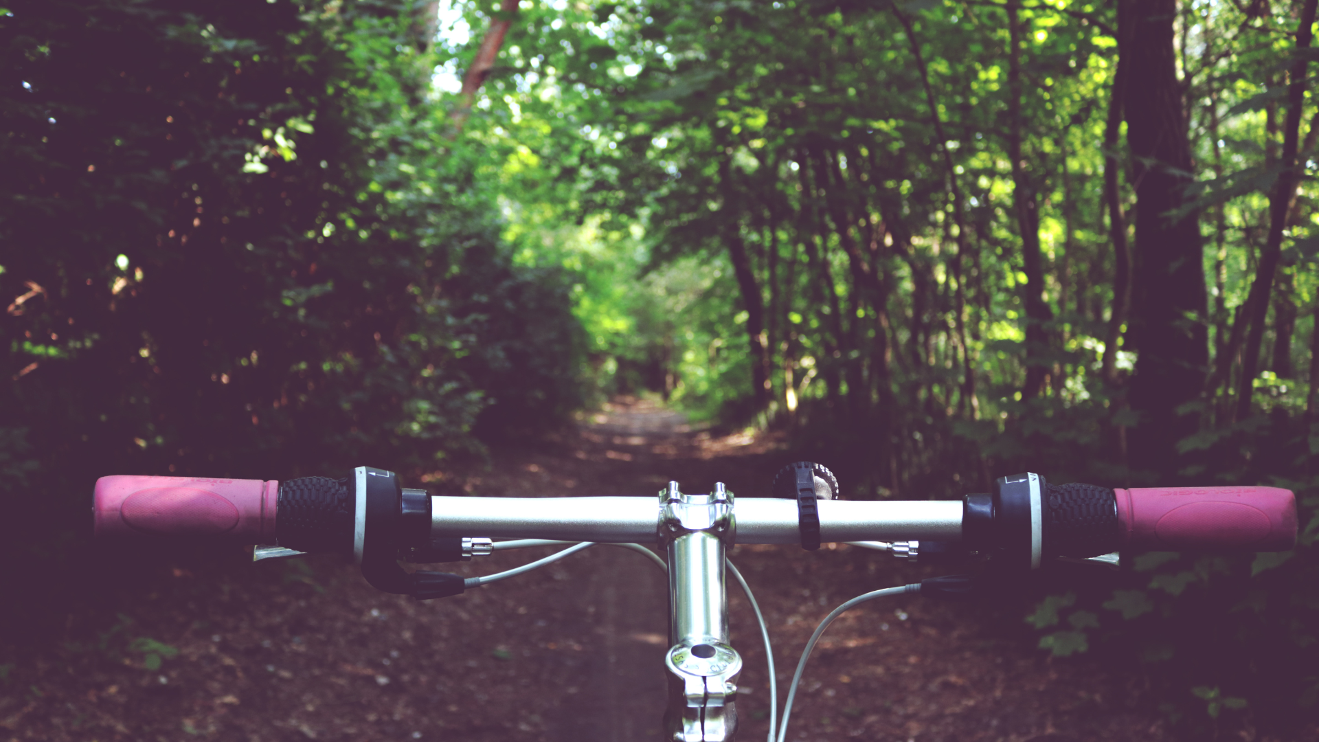 Vue subjective du guidon d'un vélo électrique sur un chemin forestier en Provence