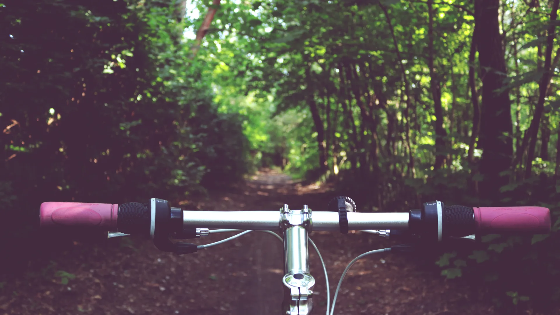 Vue subjective du guidon d'un vélo électrique sur un chemin forestier en Provence
