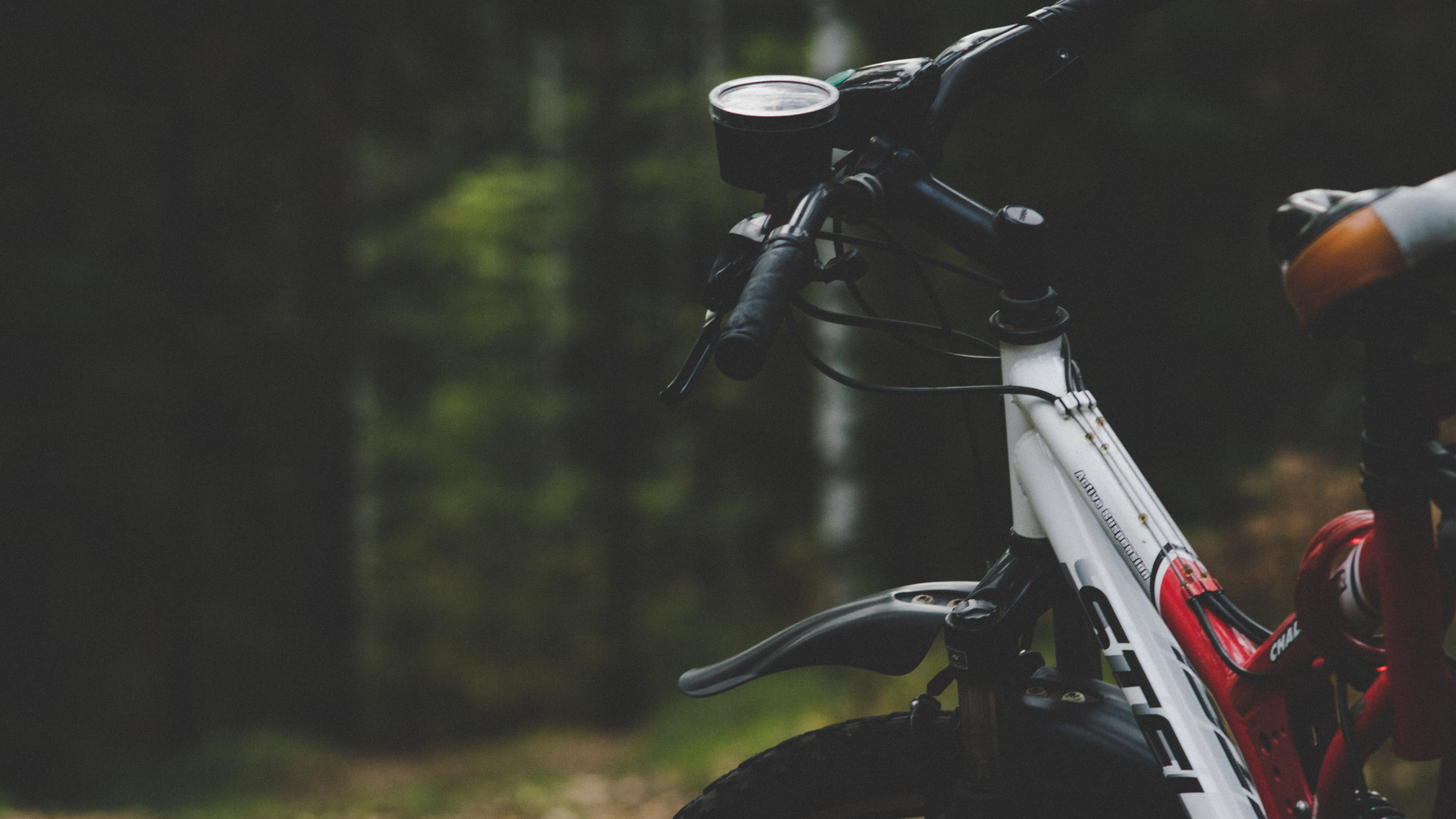 Cintre et potence d'un vélo à assistance électrique de Terroir à Vélo, cadre blanc et rouge, forêt en arrière-plan en Provence