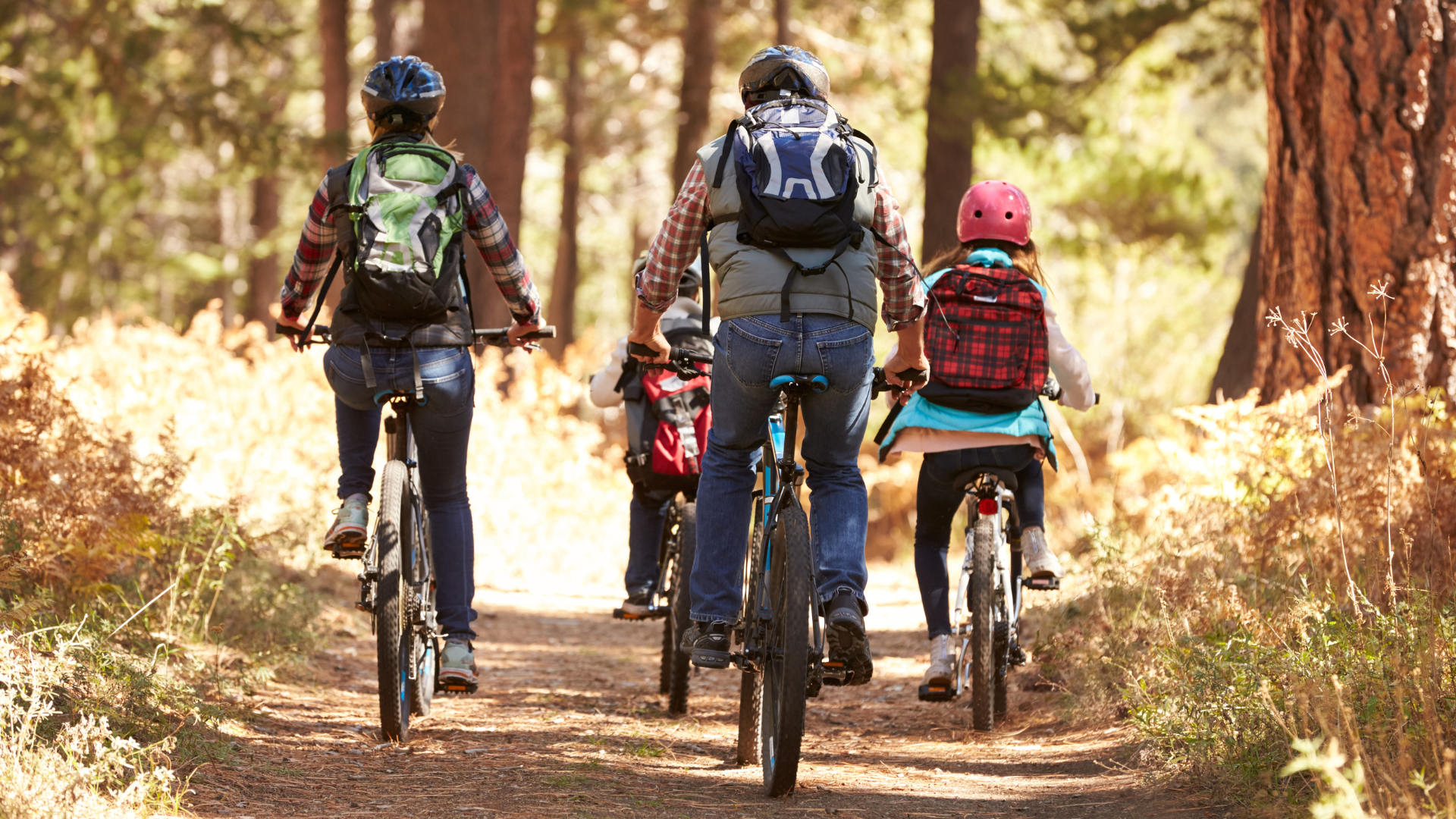 Famille avec deux enfants à vélo électrique sur un chemin forestier en Provence, vue de dos