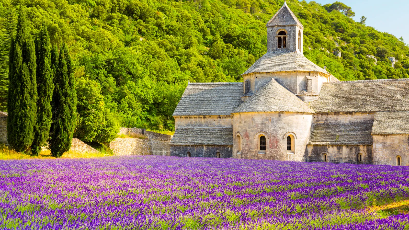 Abbaye de Sénanque au-dessus d'un champ de lavande
