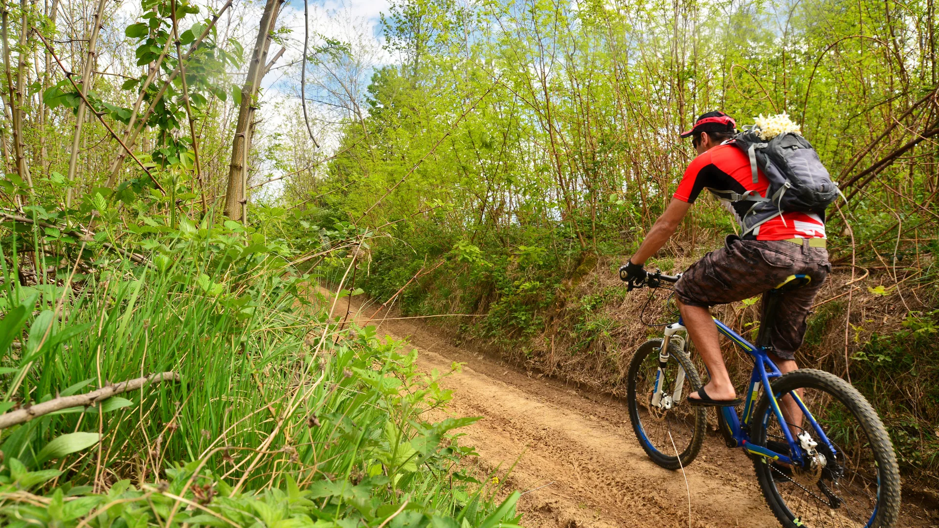 Cycliste à vélo électrique roulant sous une frondaison vert vif au printemps en Provence