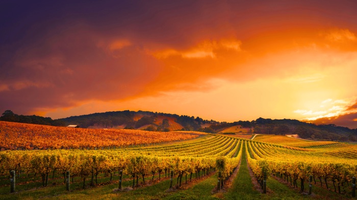 Sunset apéro en bicicleta eléctrica por Châteauneuf-du-Pape