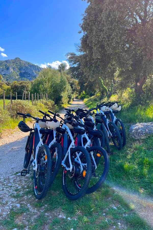 Vélos électriques garés sur un chemin de terre dans les Alpilles