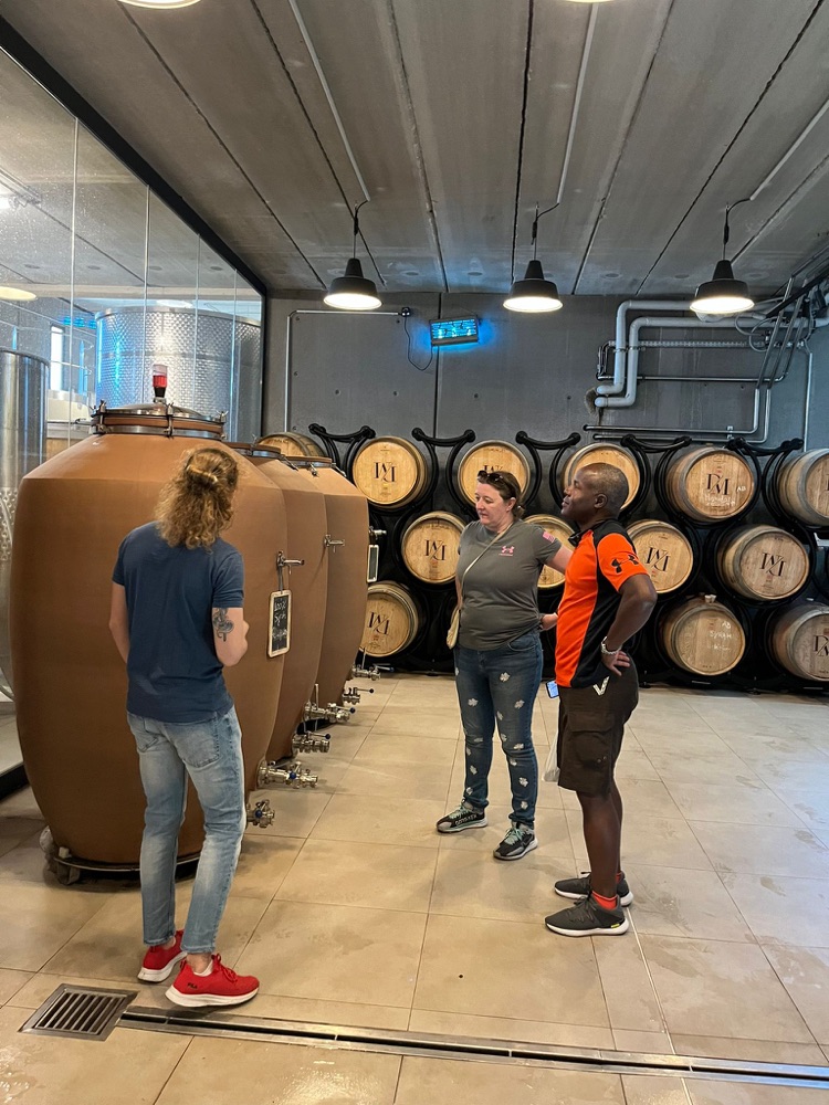 Wine cellar visit and tasting during an electric bike tour