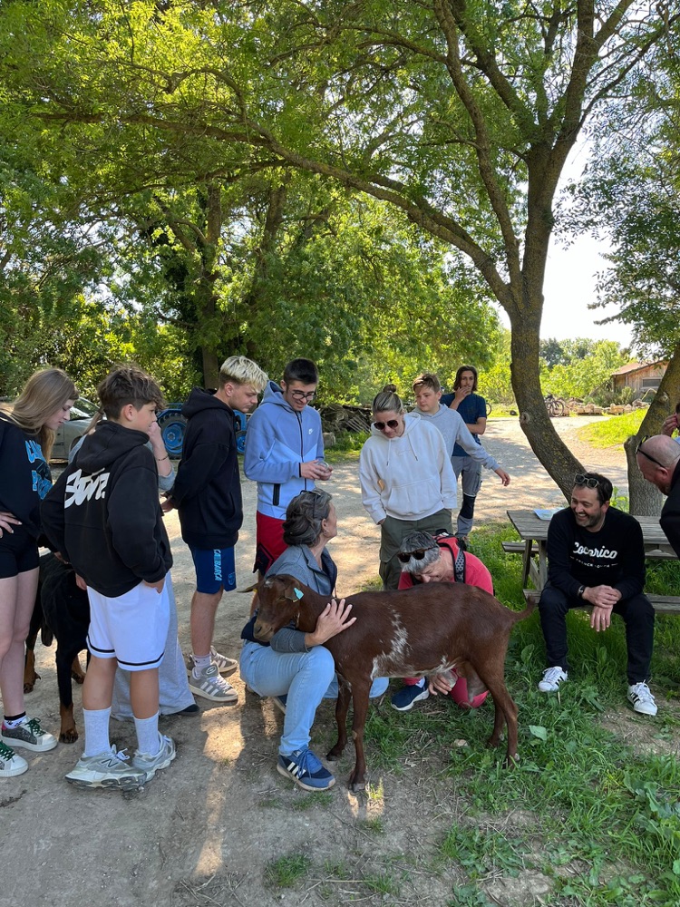 Participants petting a goat during a farm stop