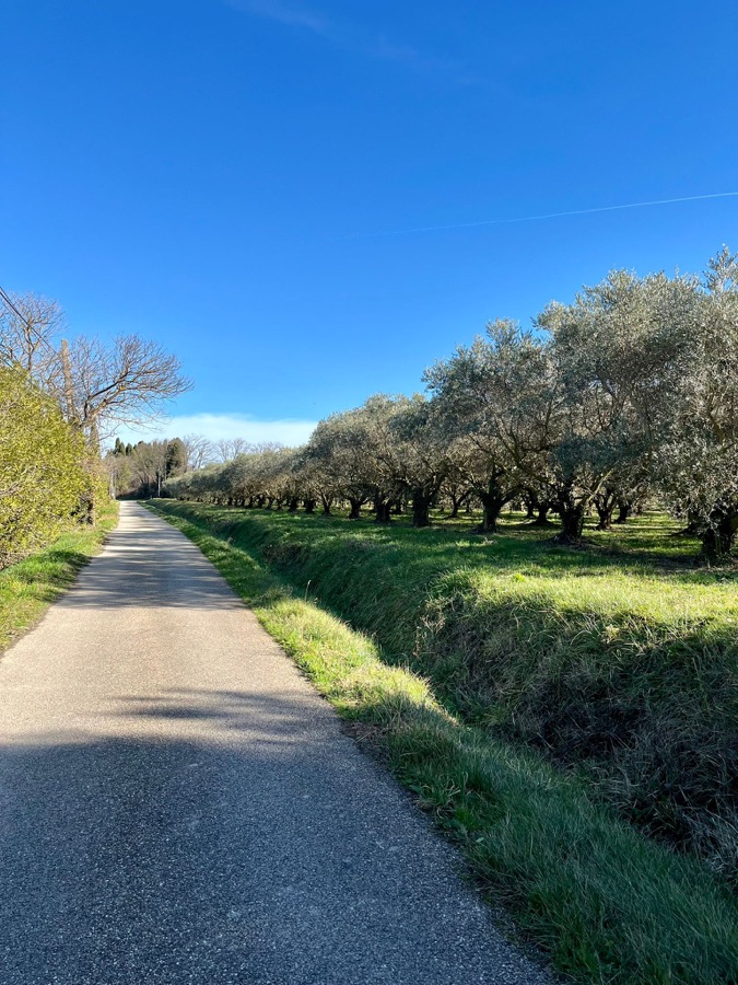 Cyclists choosing their destination by a lake in Provence