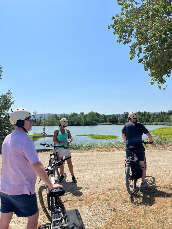 A herd of goats spotted while preparing a bike tour